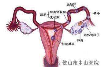 (a)那个医院可以做试管代孕,备孕遇上排卵障碍，应该怎么办？