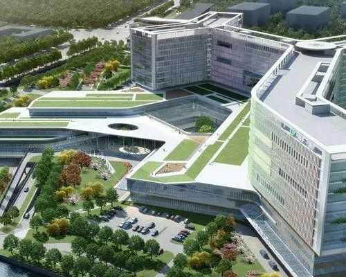 单身人士可以去泰国做试管婴儿吗？,高龄女性适合去泰国冻卵吗？