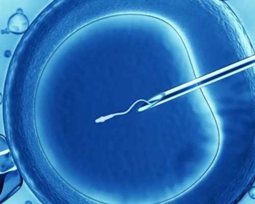 42岁供精供卵_36岁供卵生女儿,伊春失独超高龄供卵试管（失独允许再生吗）