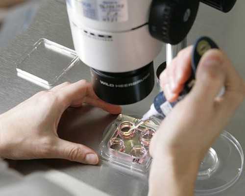 43岁供卵试管成功,广西供卵试管医院排名前最新高龄助孕成功率参考