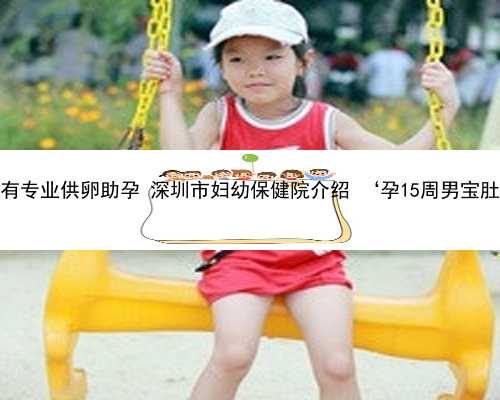 深圳哪里有专业供卵助孕 深圳市妇幼保健院介绍 ‘孕15周男宝肚型图片’